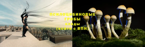 крисы Богданович