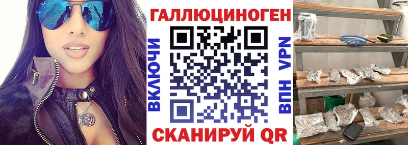 Псилоцибиновые грибы Psilocybe  Купить где  Бирюсинск 